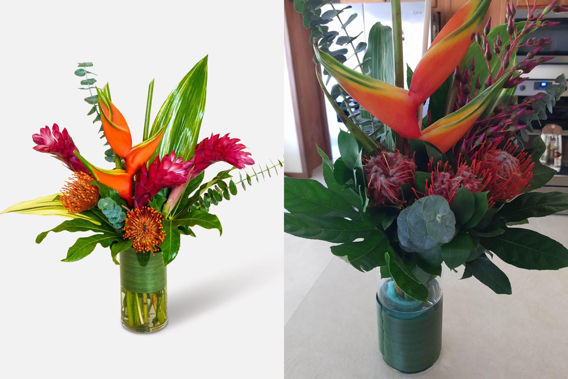 Tropicana Delight As Pictured vs. As Delivered