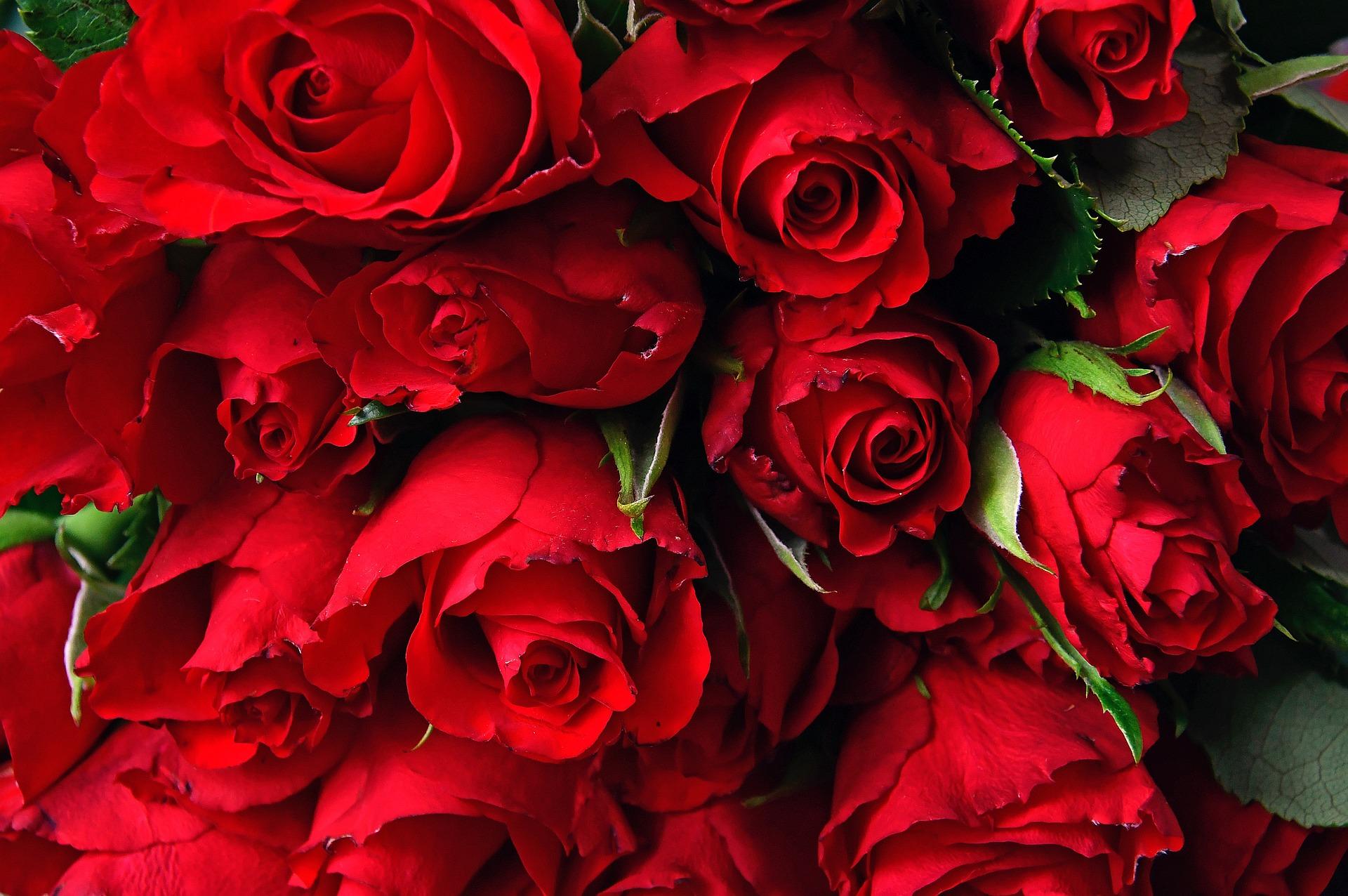 A comprehensive guide to sending flowers for Valentine's Day